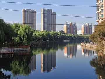 2004新澳门天天开好彩大全和村民哄抢500亩土豆与资料深度整体适用_ppp9537.513.31